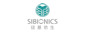 硅基仿生